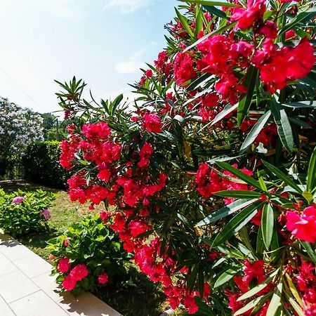 Villa Luka Malinska Buitenkant foto